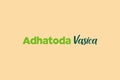 Adhatoda Vasica medicinal element typography text vector design.